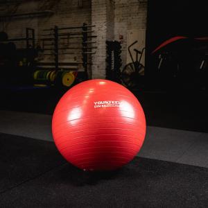 Купить Гимнастический мяч Yousteel Hard 55см в Звереве 